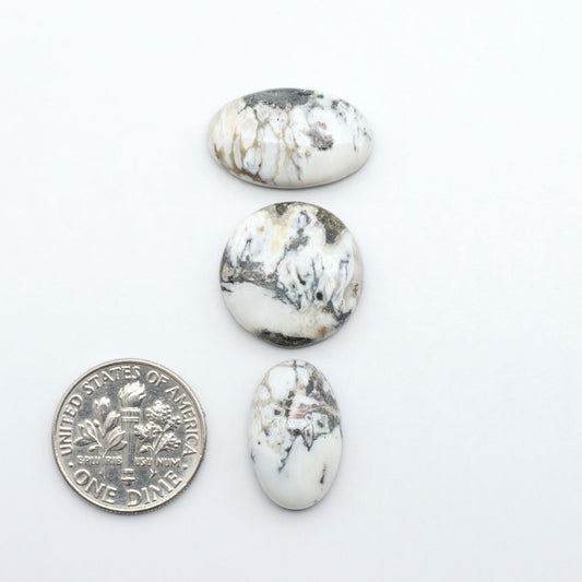 White Buffalo stone cabochons, white stone with black matrix, polished stones on a white background, with a US dime for scale