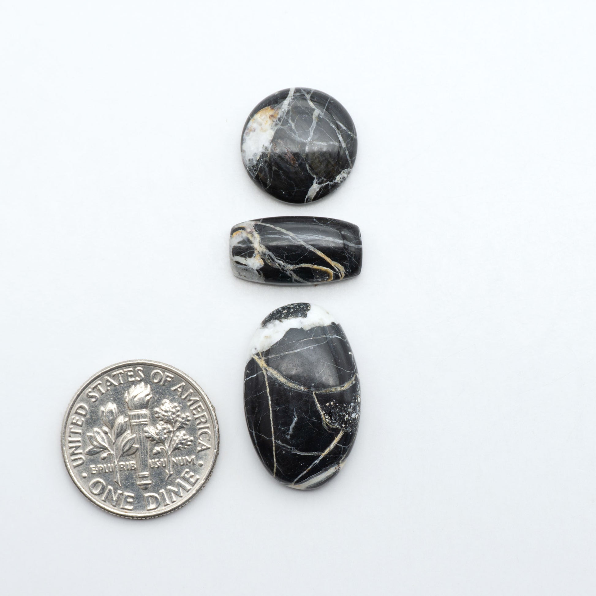 White Buffalo stone cabochons, white stone with black matrix, polished stones on a white background, with a US dime for scale