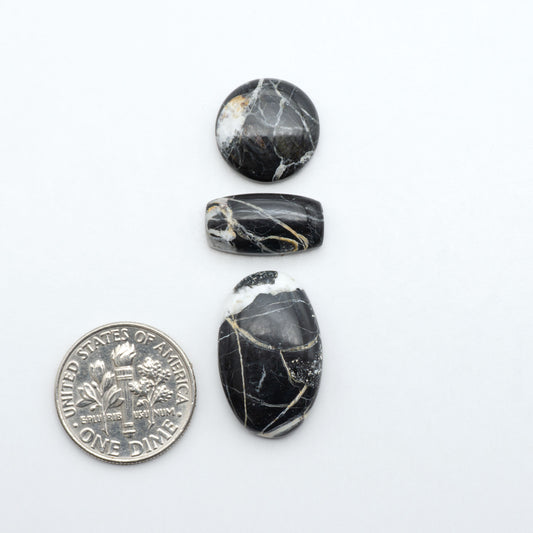 White Buffalo stone cabochons, white stone with black matrix, polished stones on a white background, with a US dime for scale