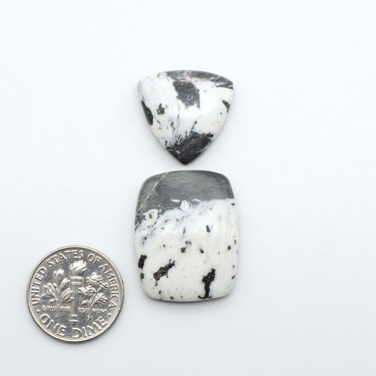 White Buffalo stone cabochons, white stone with black matrix, polished stones on a white background, with a US dime for scale