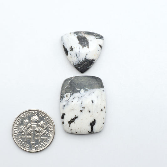 White Buffalo stone cabochons, white stone with black matrix, polished stones on a white background, with a US dime for scale