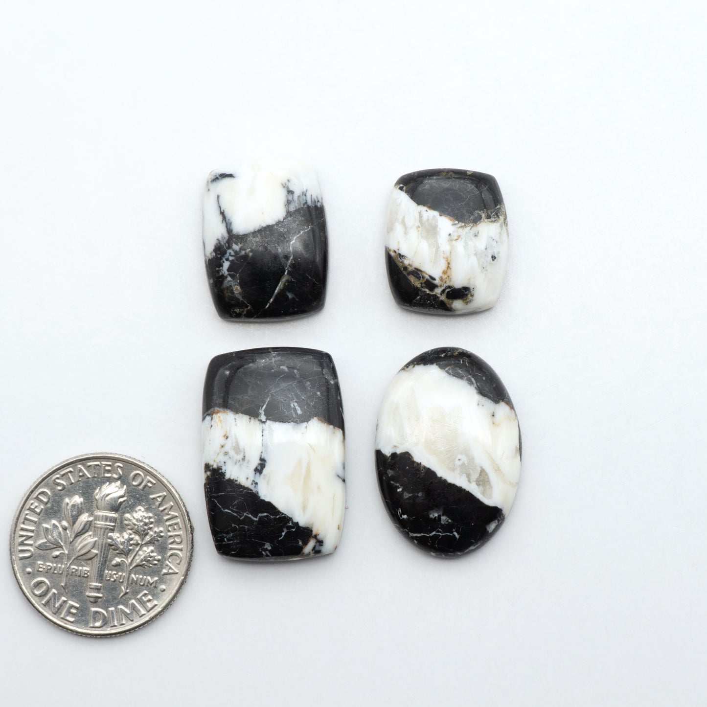 White Buffalo stone cabochons, white stone with black matrix, polished stones on a white background, with a US dime for scale