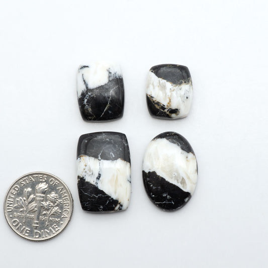 White Buffalo stone cabochons, white stone with black matrix, polished stones on a white background, with a US dime for scale