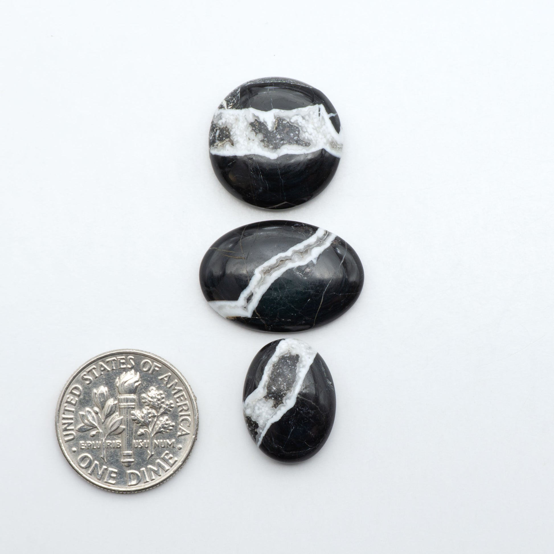 White Buffalo stone cabochons, white stone with black matrix, polished stones on a white background, with a US dime for scale