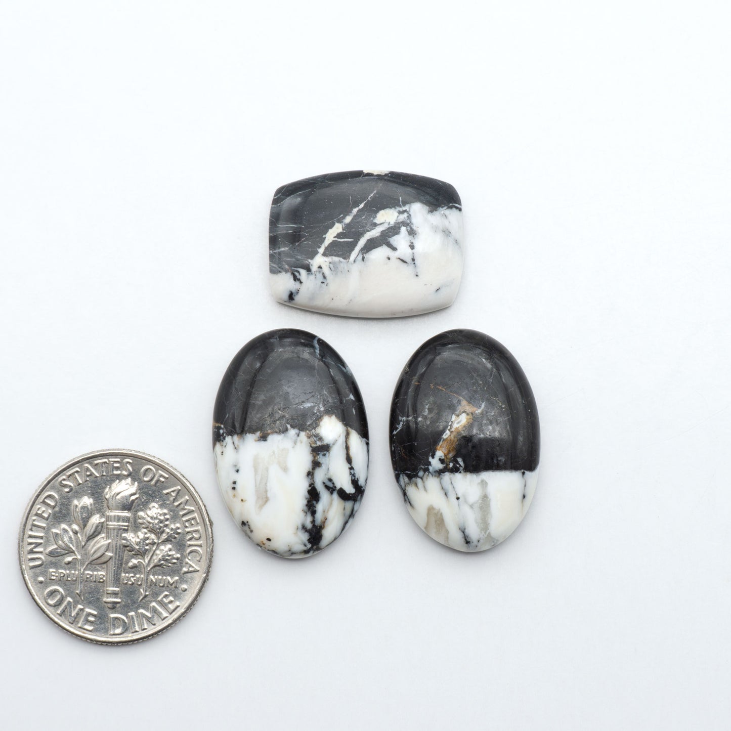 White Buffalo stone cabochons, white stone with black matrix, polished stones on a white background, with a US dime for scale