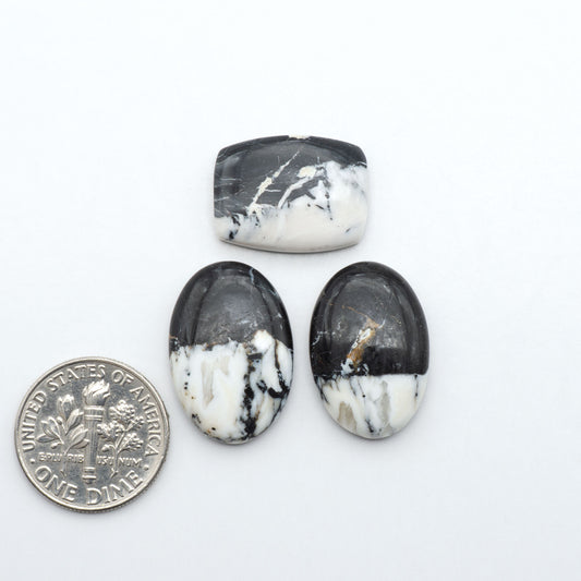 White Buffalo stone cabochons, white stone with black matrix, polished stones on a white background, with a US dime for scale