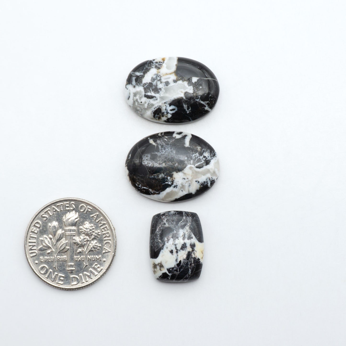 White Buffalo stone cabochons, white stone with black matrix, polished stones on a white background, with a US dime for scale