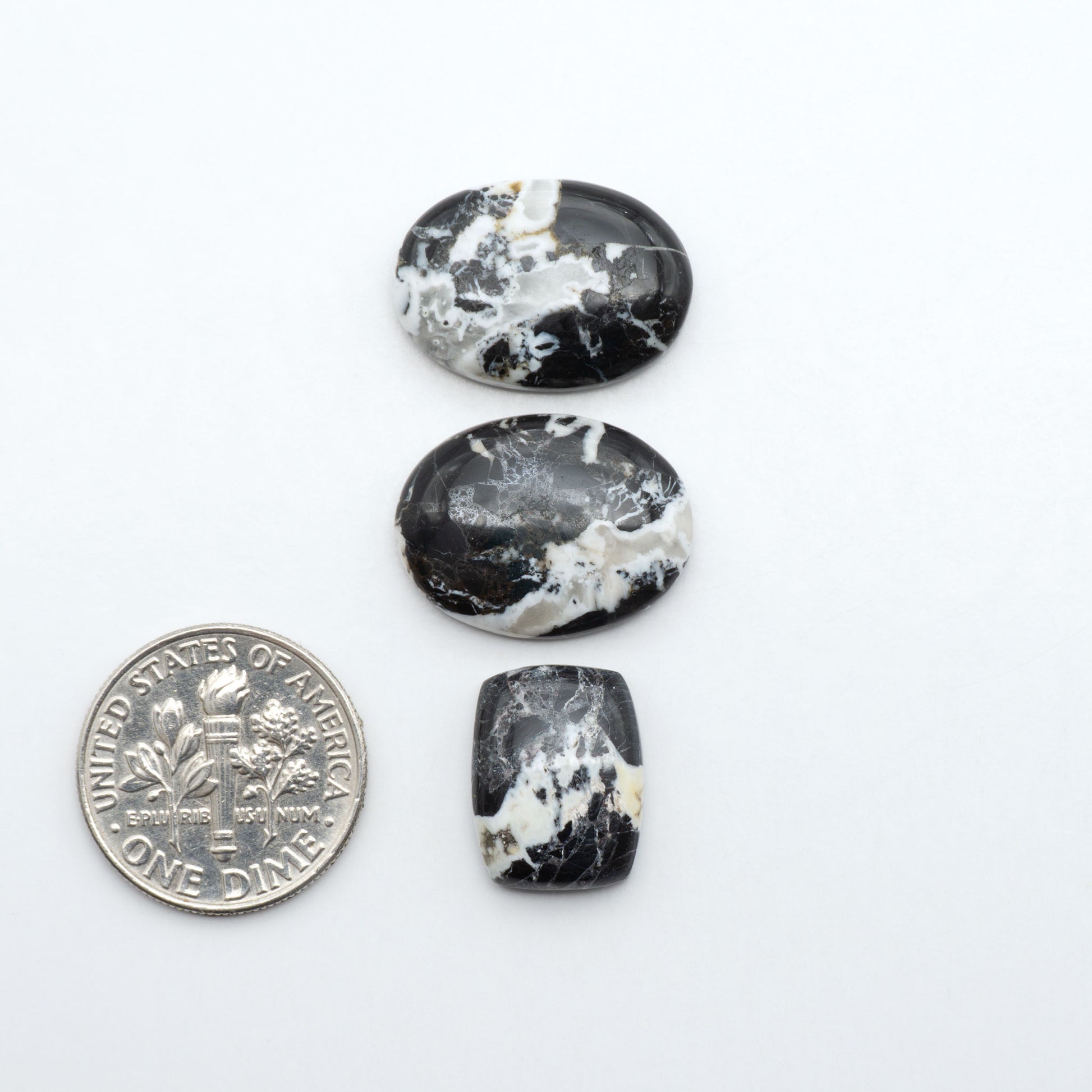 White Buffalo stone cabochons, white stone with black matrix, polished stones on a white background, with a US dime for scale