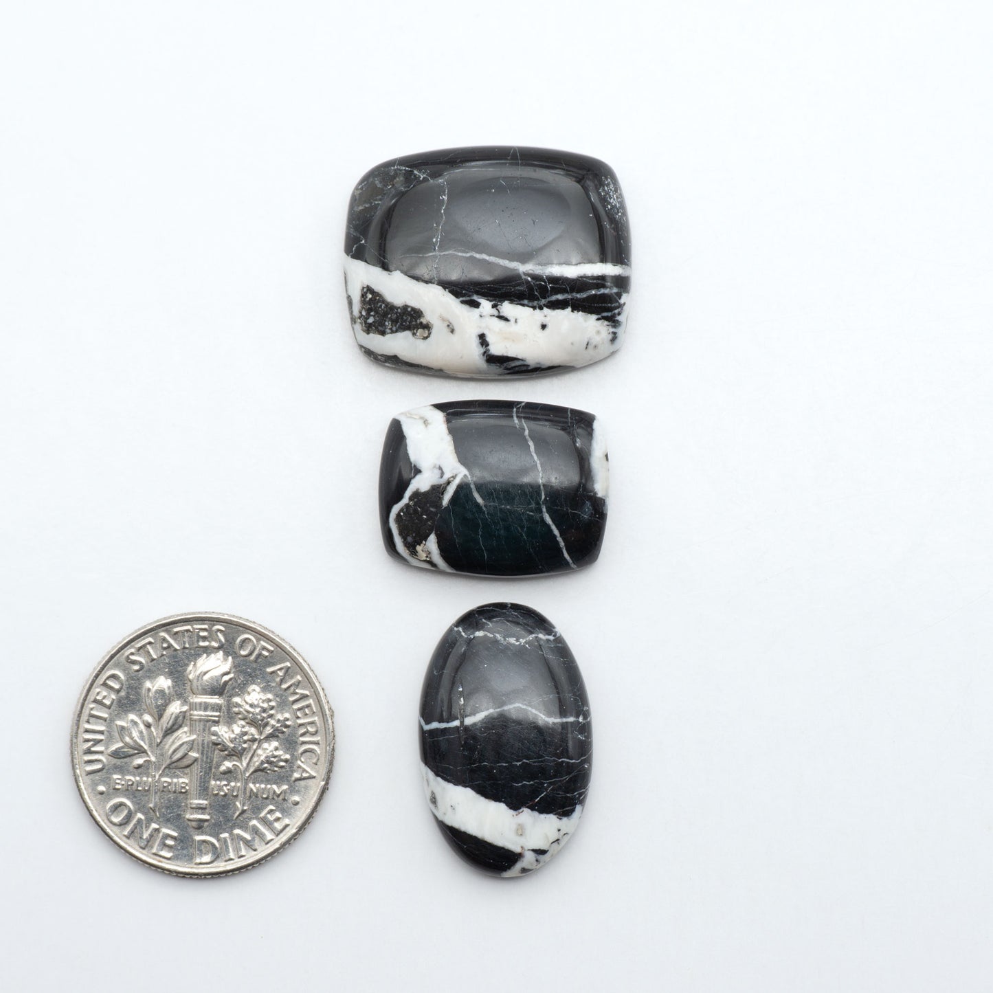 White Buffalo stone cabochons, white stone with black matrix, polished stones on a white background, with a US dime for scale