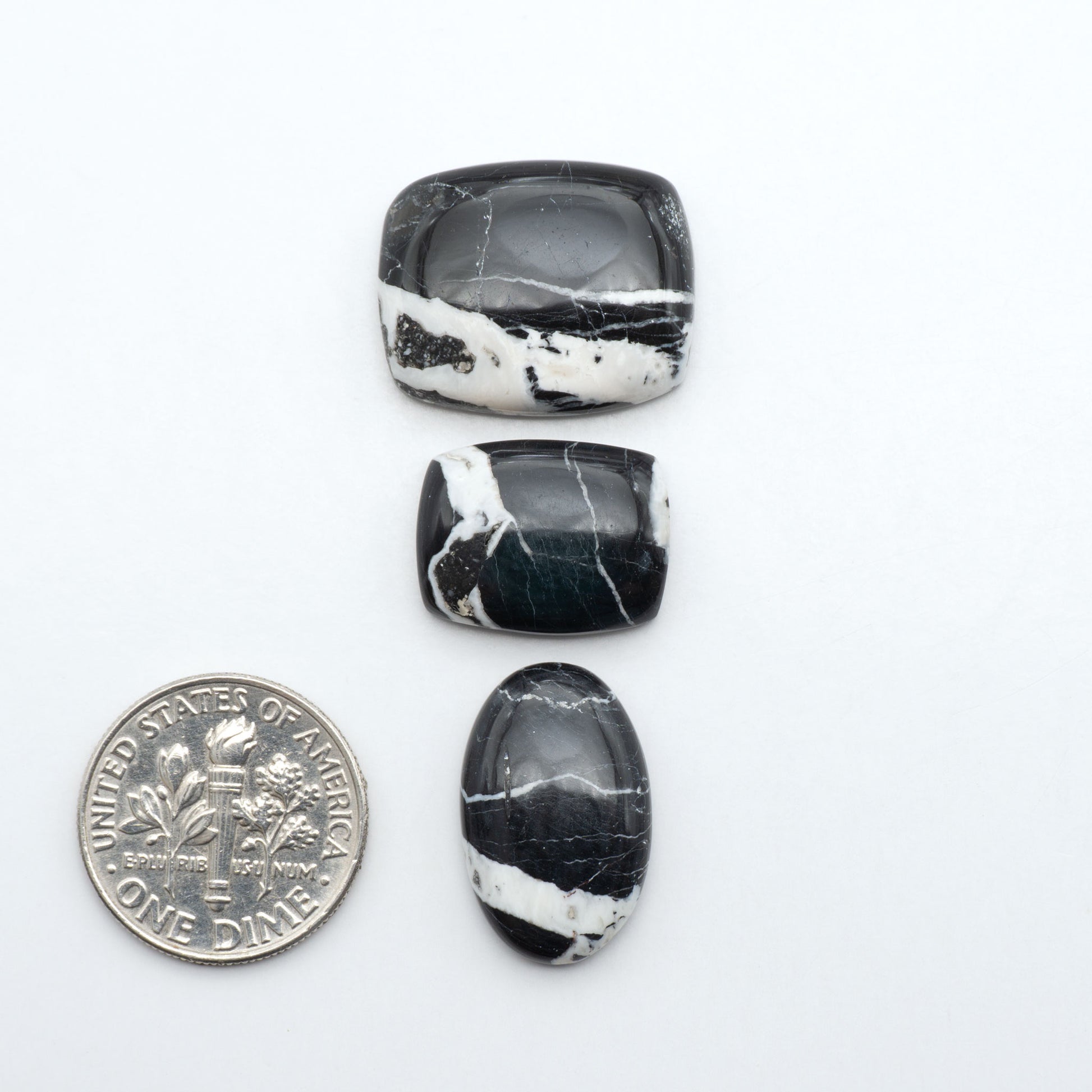 White Buffalo stone cabochons, white stone with black matrix, polished stones on a white background, with a US dime for scale