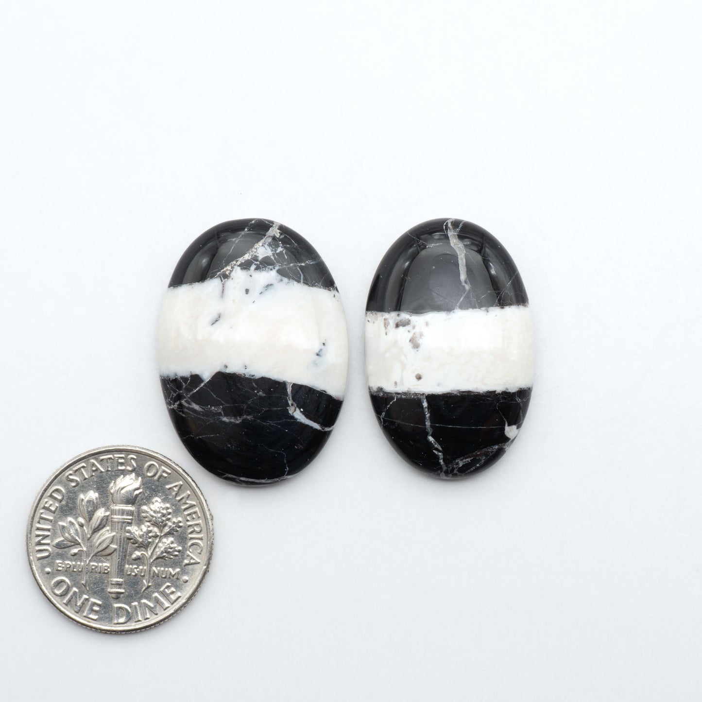White Buffalo stone cabochons, white stone with black matrix, polished stones on a white background, with a US dime for scale