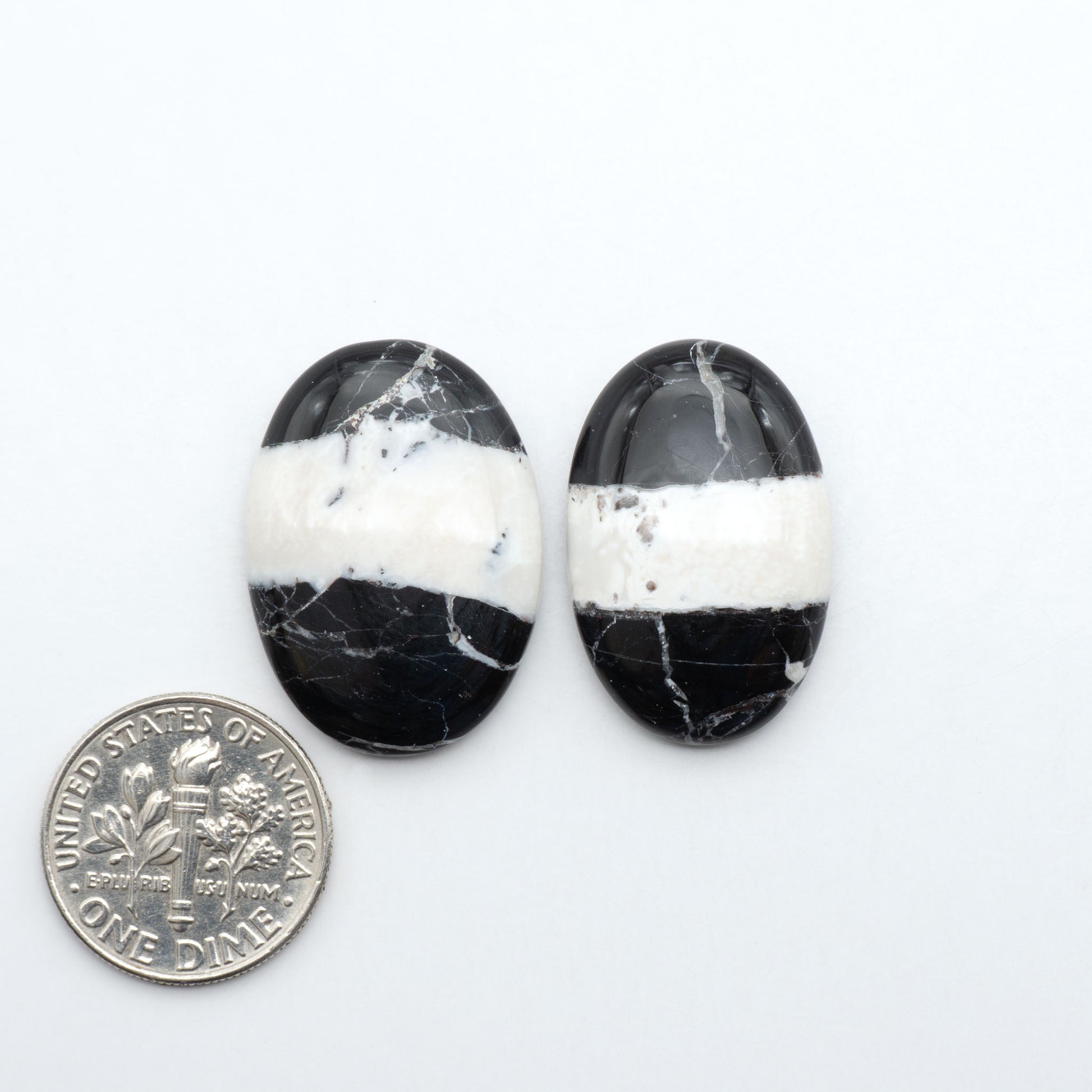 White Buffalo stone cabochons, white stone with black matrix, polished stones on a white background, with a US dime for scale