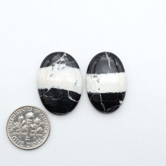 White Buffalo stone cabochons, white stone with black matrix, polished stones on a white background, with a US dime for scale