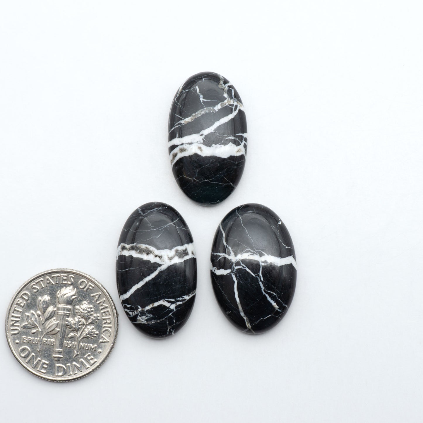 White Buffalo stone cabochons, white stone with black matrix, polished stones on a white background, with a US dime for scale