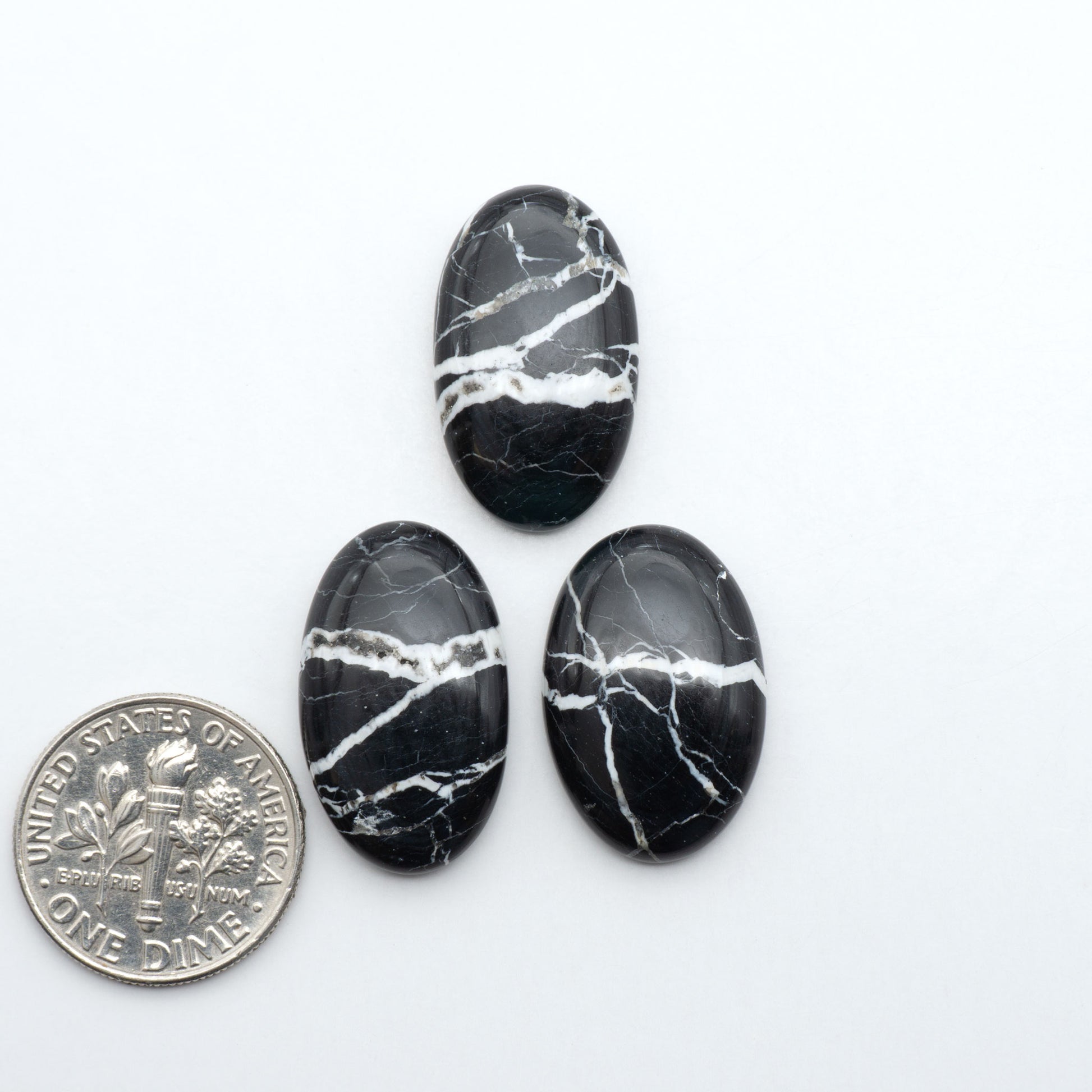 White Buffalo stone cabochons, white stone with black matrix, polished stones on a white background, with a US dime for scale