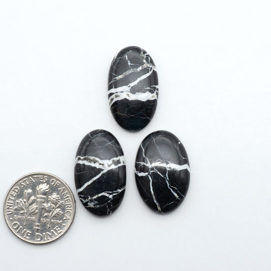 White Buffalo stone cabochons, white stone with black matrix, polished stones on a white background, with a US dime for scale