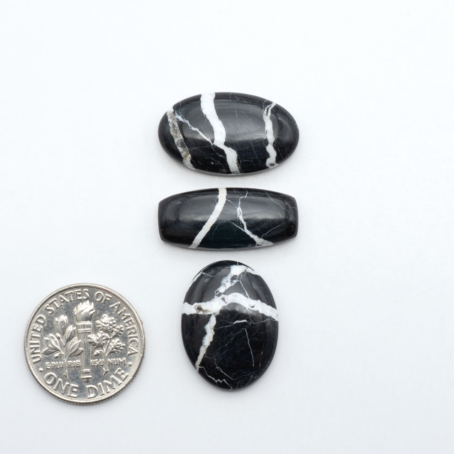 White Buffalo stone cabochons, white stone with black matrix, polished stones on a white background, with a US dime for scale