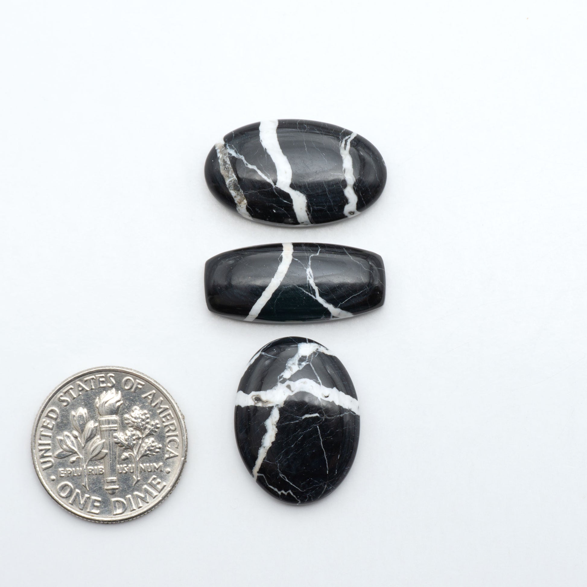 White Buffalo stone cabochons, white stone with black matrix, polished stones on a white background, with a US dime for scale