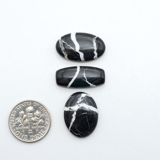 White Buffalo stone cabochons, white stone with black matrix, polished stones on a white background, with a US dime for scale