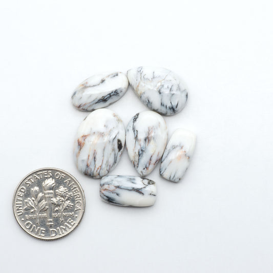 White Buffalo stone cabochons, white stone with black matrix, polished stones on a white background, with a US dime for scale