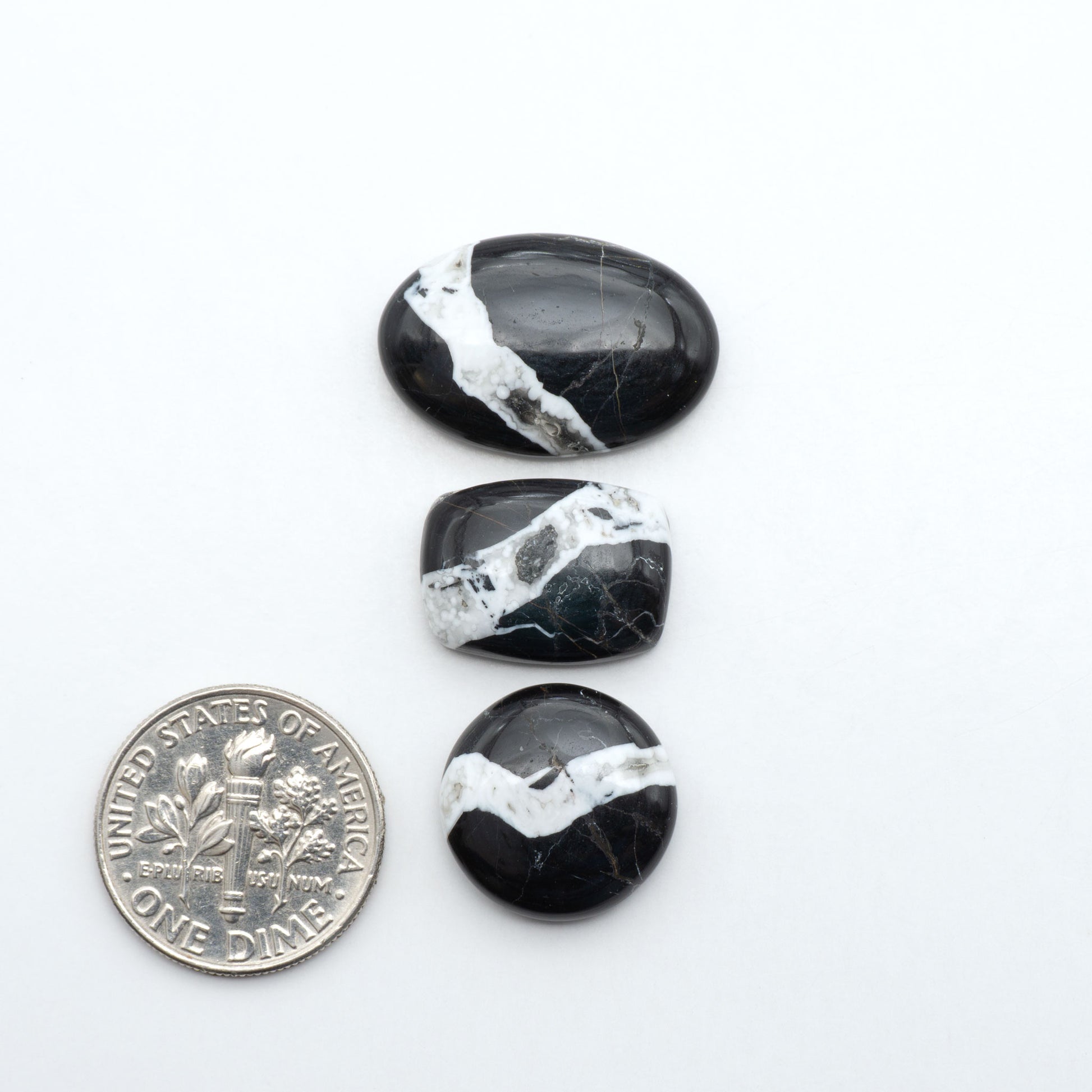 White Buffalo stone cabochons, white stone with black matrix, polished stones on a white background, with a US dime for scale