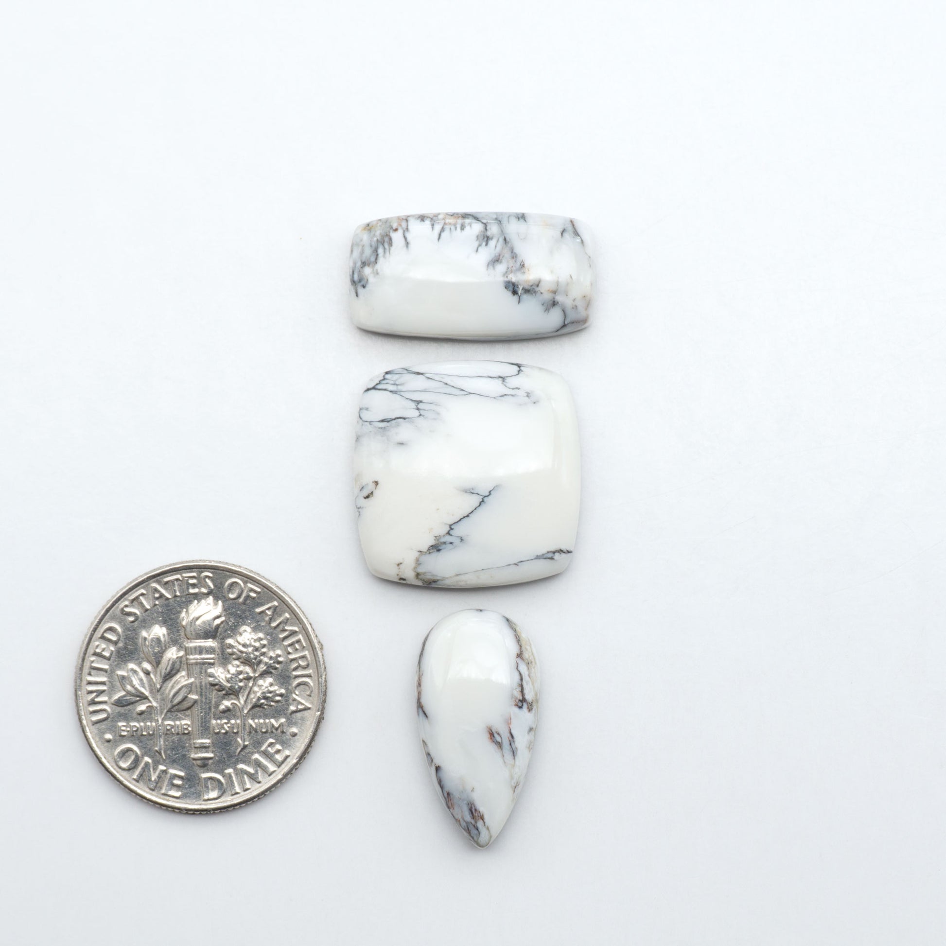 White Buffalo stone cabochons, white stone with black matrix, polished stones on a white background, with a US dime for scale