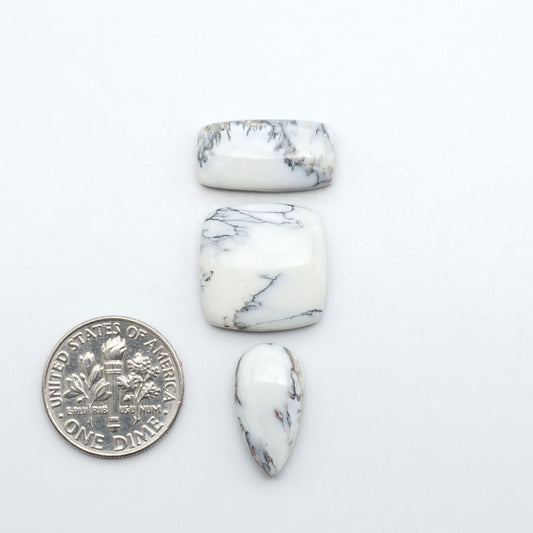 White Buffalo stone cabochons, white stone with black matrix, polished stones on a white background, with a US dime for scale