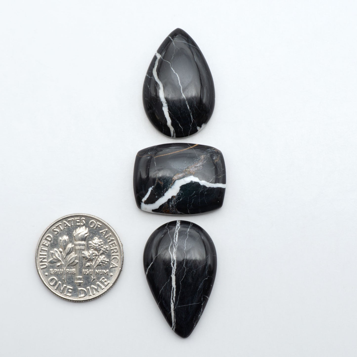 White Buffalo stone cabochons, white stone with black matrix, polished stones on a white background, with a US dime for scale
