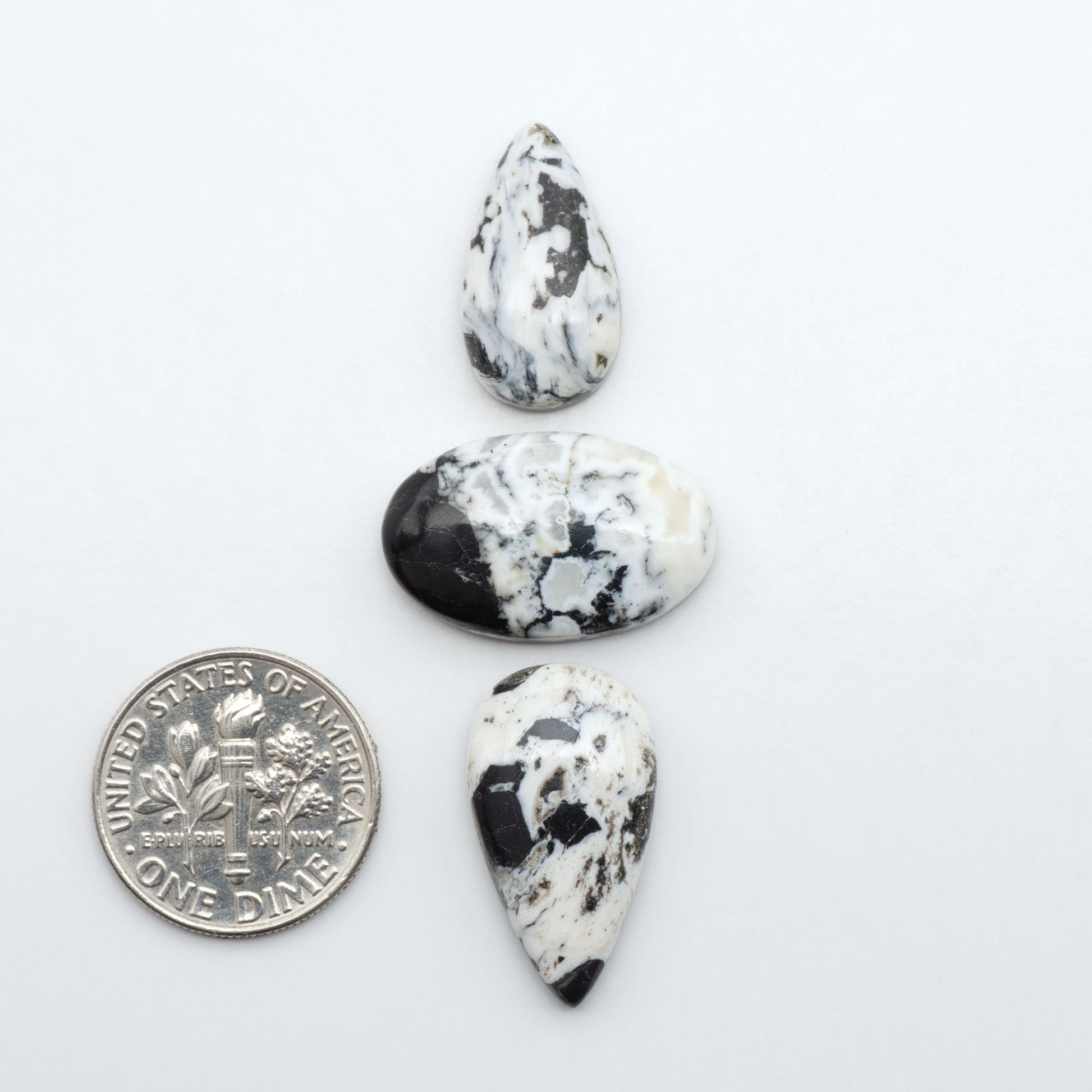 White Buffalo stone cabochons, white stone with black matrix, polished stones on a white background, with a US dime for scale