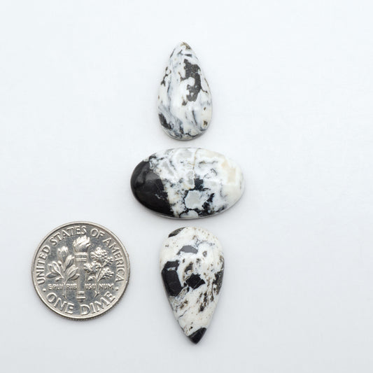 White Buffalo stone cabochons, white stone with black matrix, polished stones on a white background, with a US dime for scale