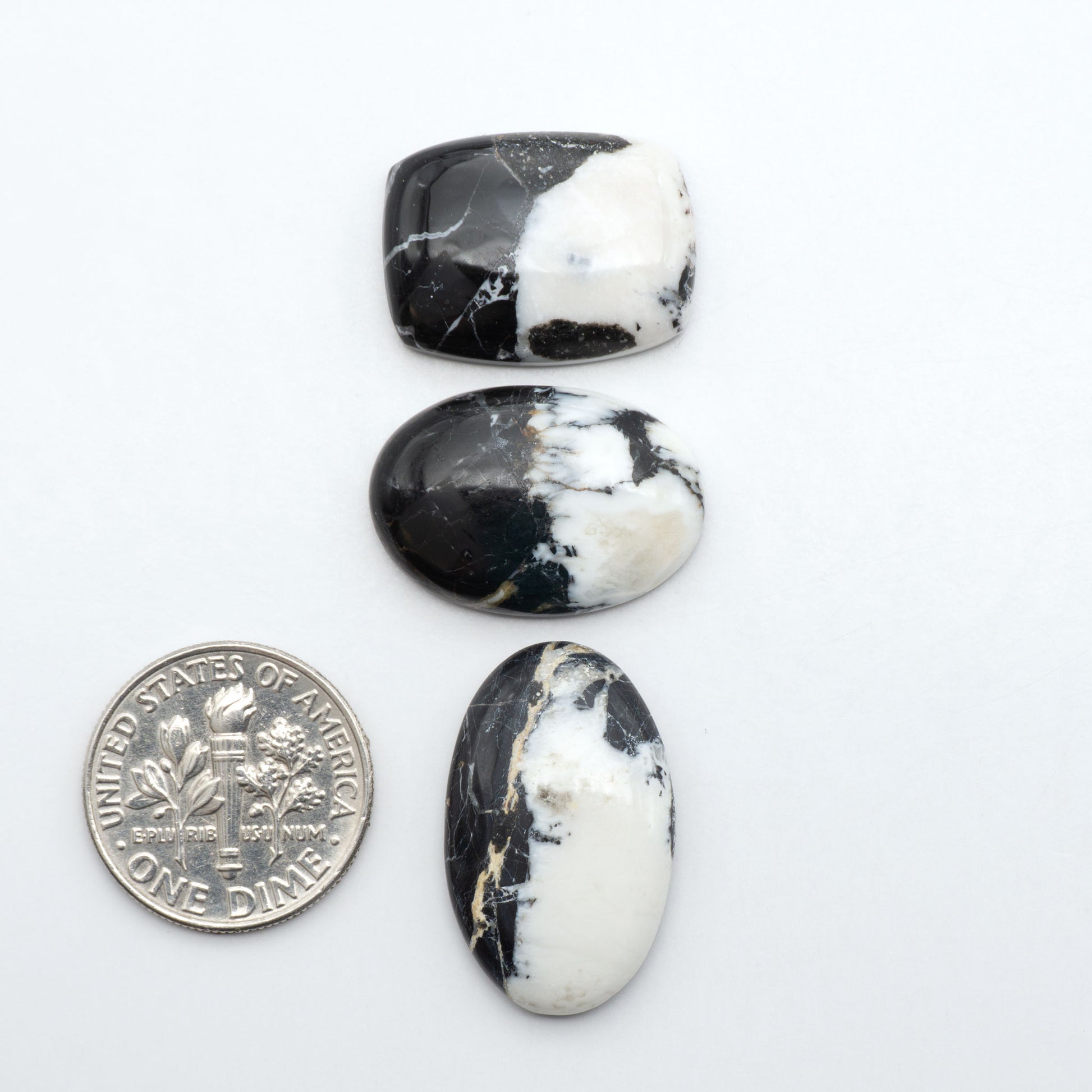 White Buffalo stone cabochons, white stone with black matrix, polished stones on a white background, with a US dime for scale