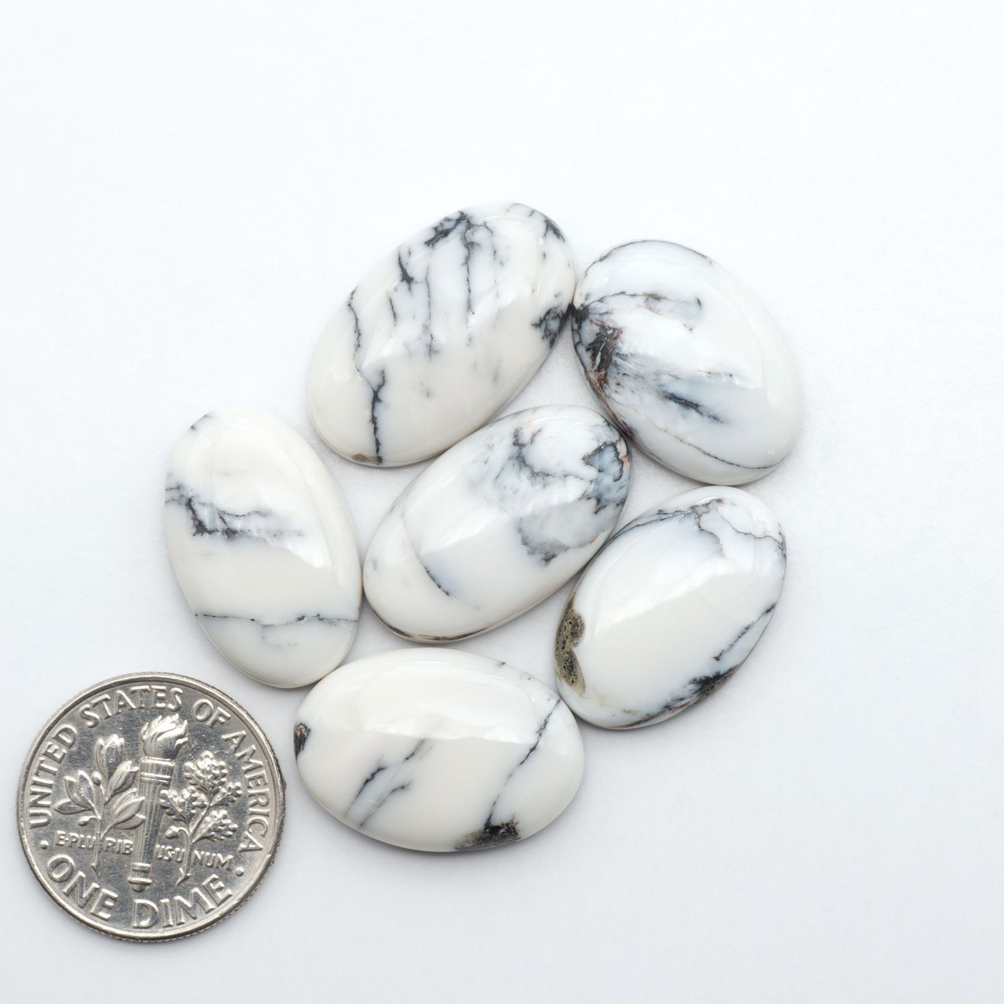 White Buffalo stone cabochons, white stone with black matrix, polished stones on a white background, with a US dime for scale