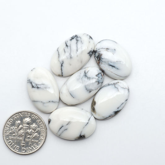 White Buffalo stone cabochons, white stone with black matrix, polished stones on a white background, with a US dime for scale