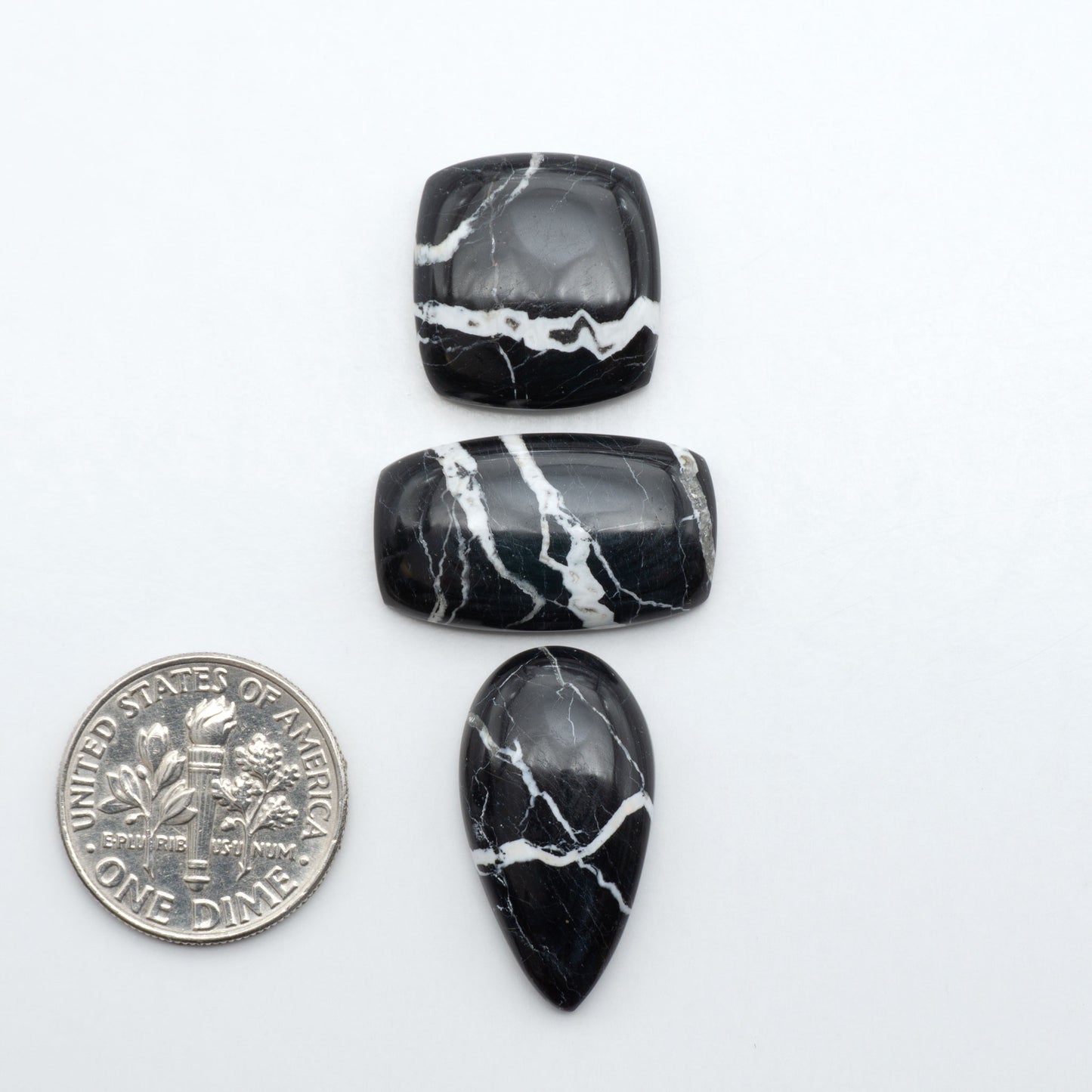 White Buffalo stone cabochons, white stone with black matrix, polished stones on a white background, with a US dime for scale