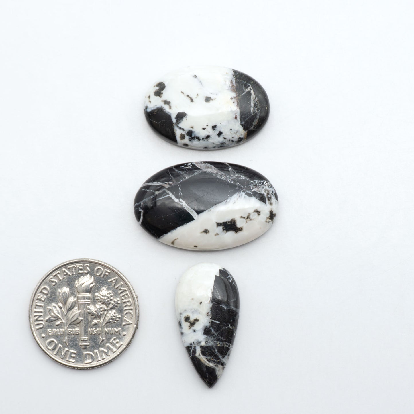 White Buffalo stone cabochons, white stone with black matrix, polished stones on a white background, with a US dime for scale