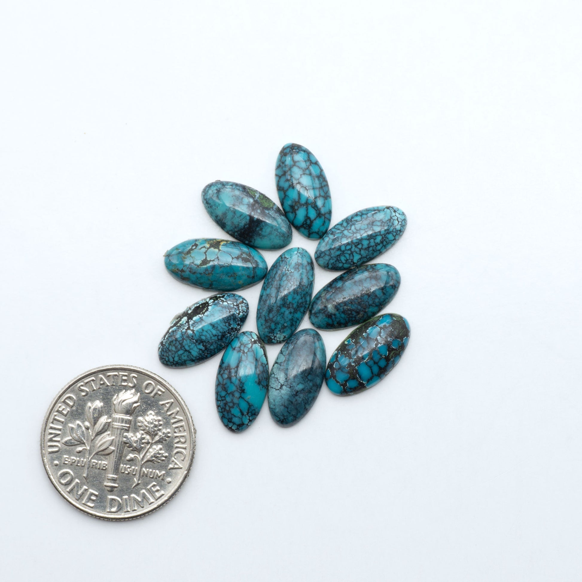 Hubei Cloud Mountain Turquoise cabochons, blue and green color with black matrix, polished stones on a white background with a US dime for scale