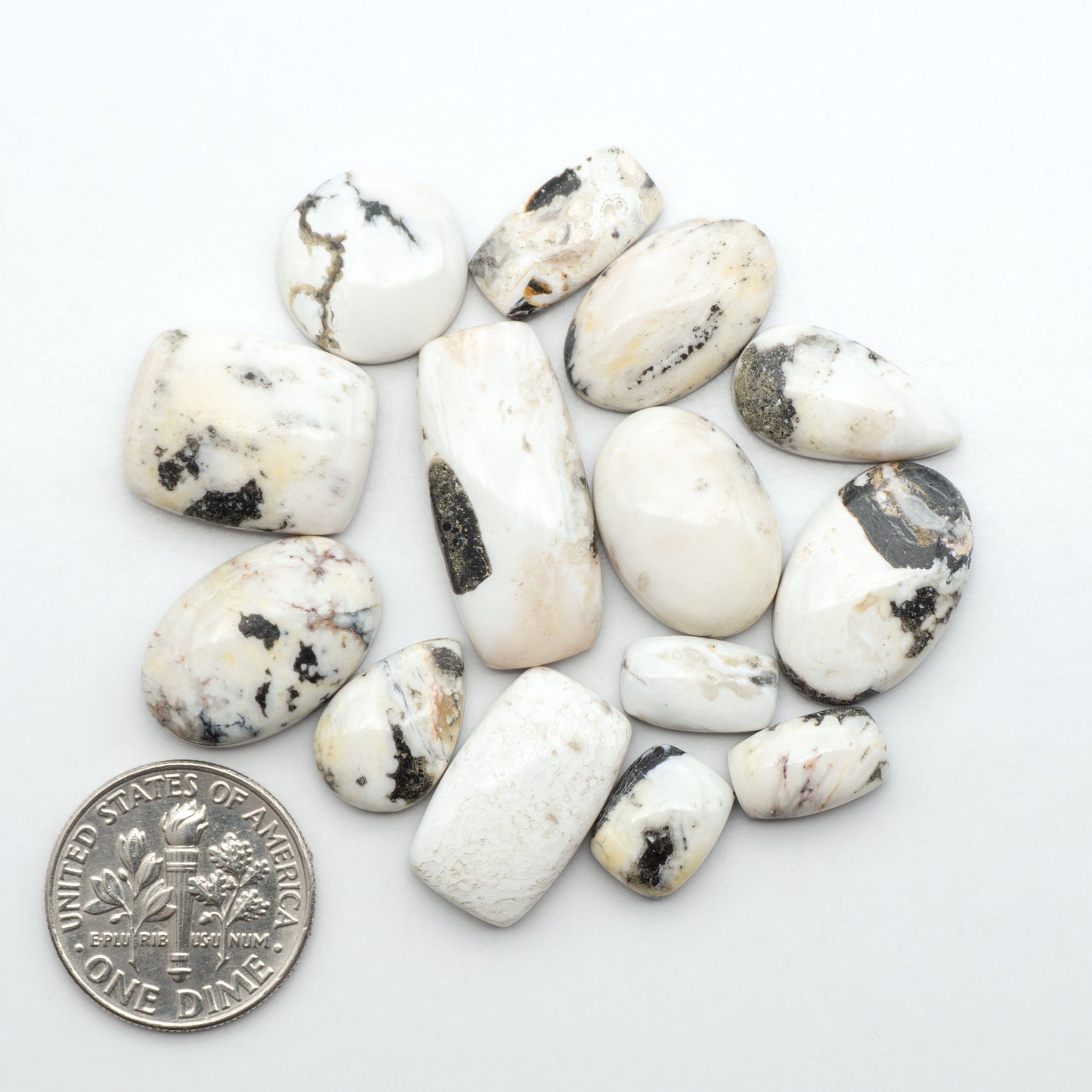 White Buffalo stone cabochons, white stone with black matrix, polished stones on a white background, with a US dime for scale