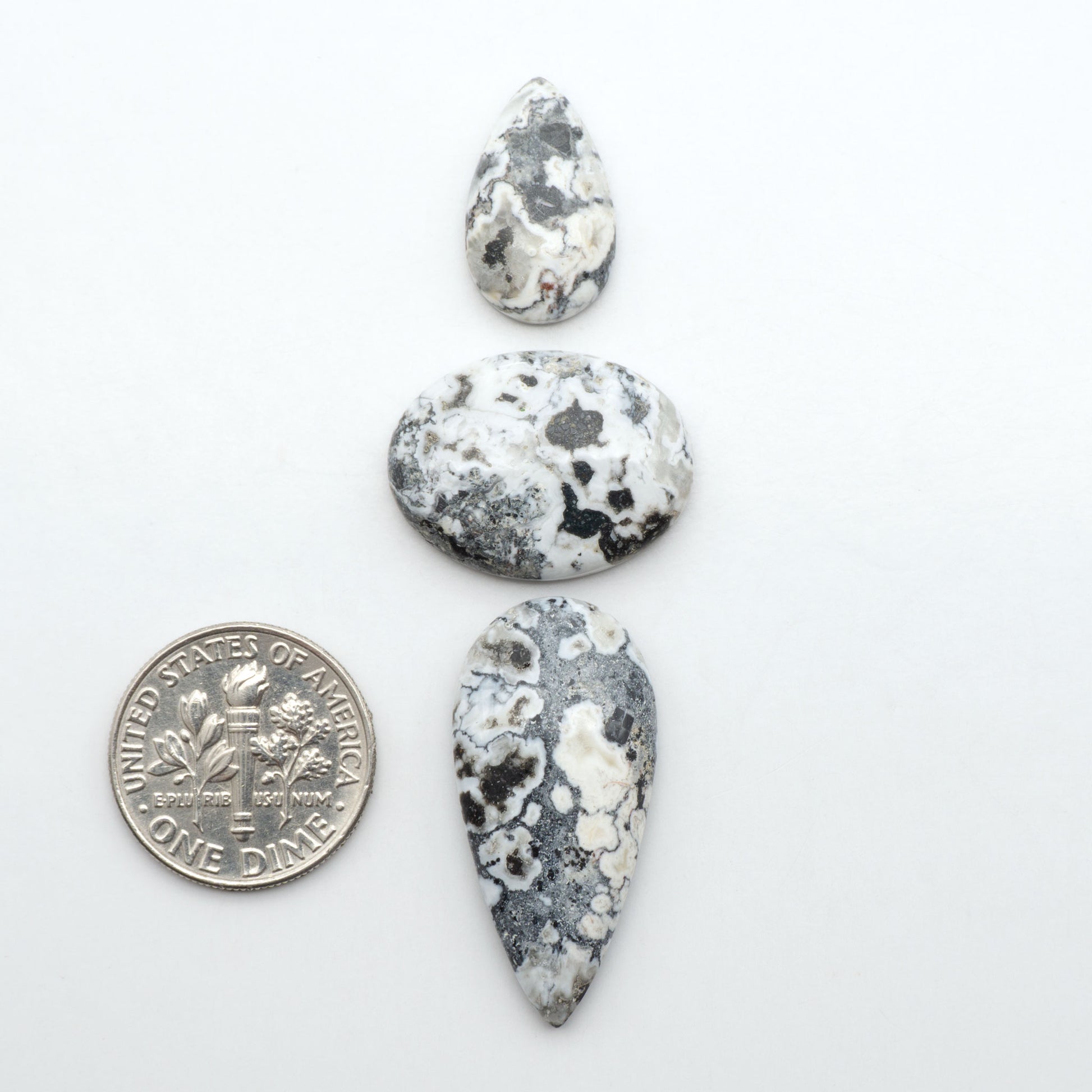 White Buffalo stone cabochons, white stone with black matrix, polished stones on a white background, with a US dime for scale