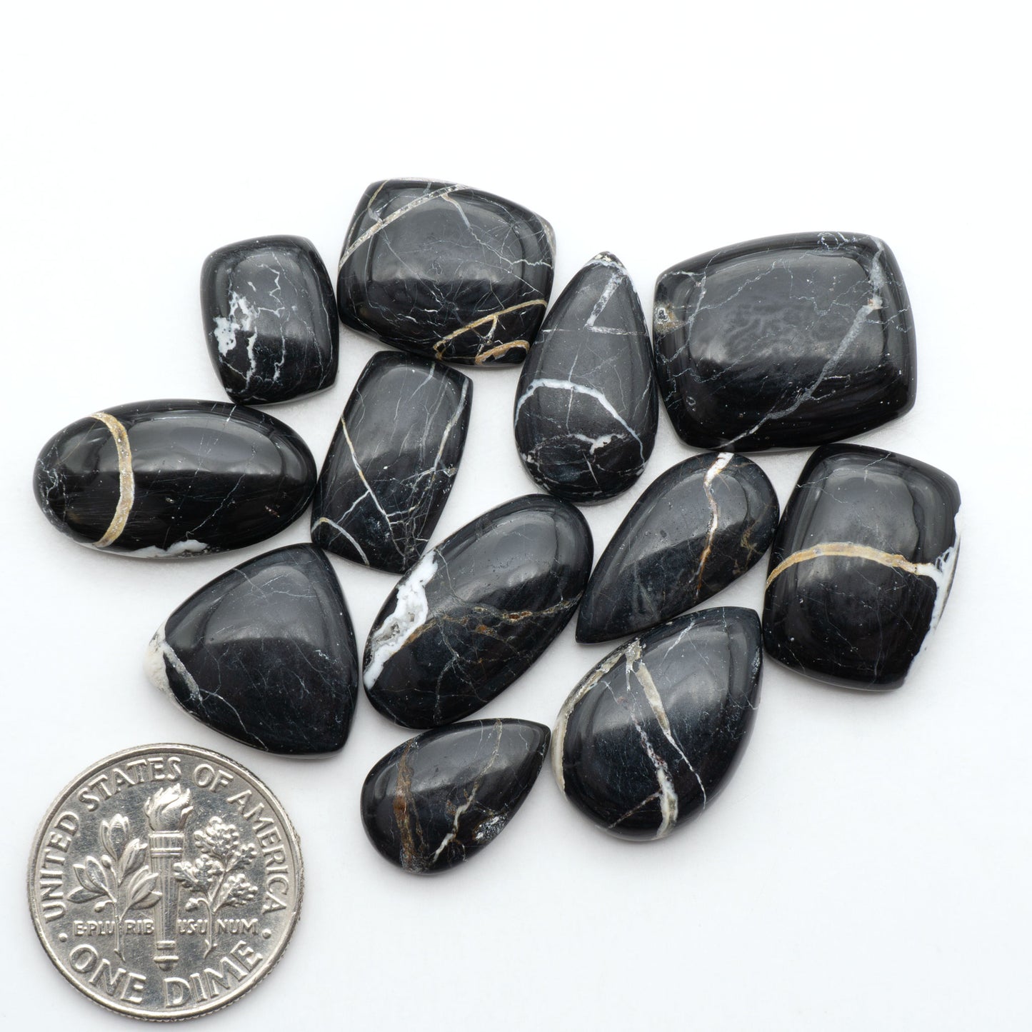 White Buffalo stone cabochons, white stone with black matrix, polished stones on a white background, with a US dime for scale