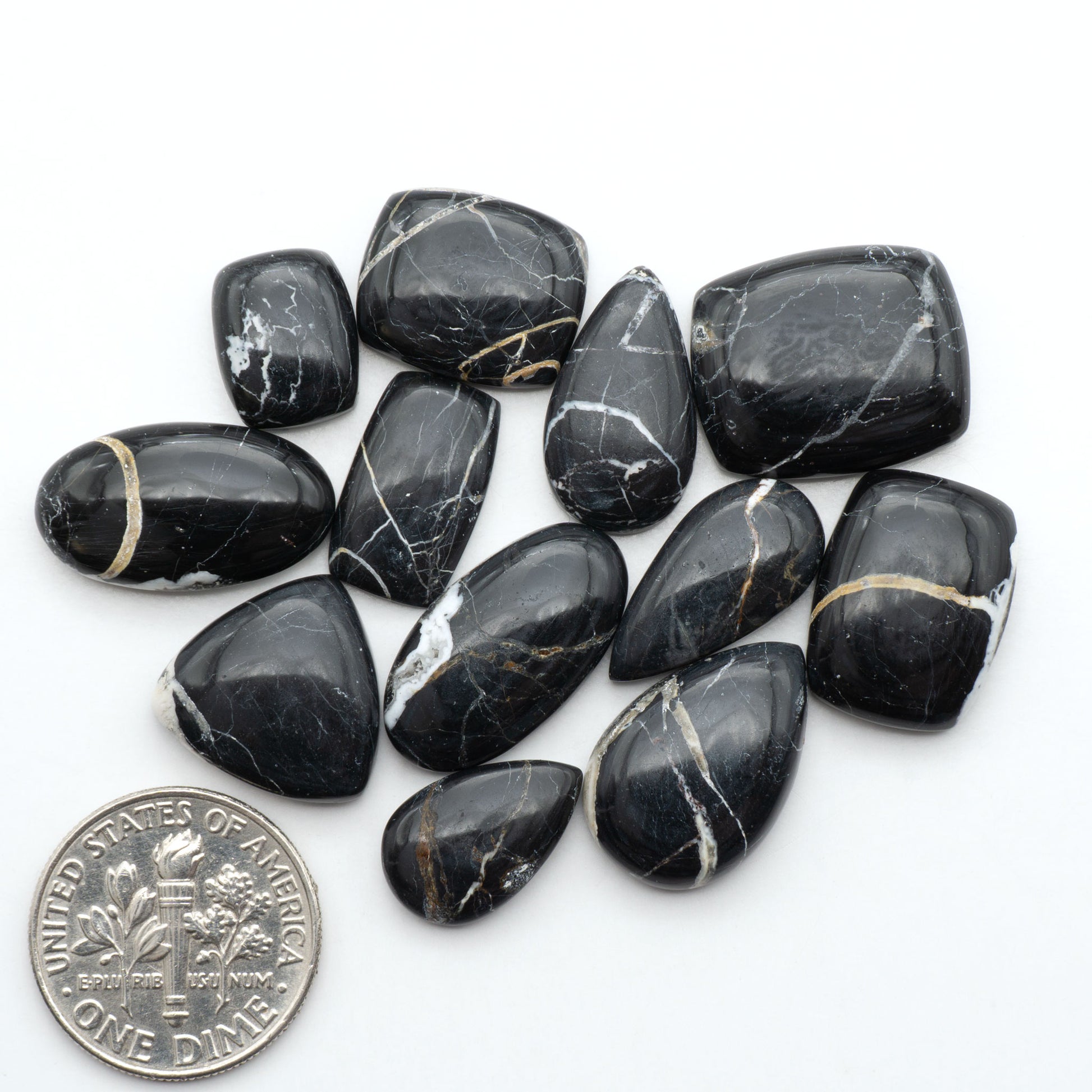 White Buffalo stone cabochons, white stone with black matrix, polished stones on a white background, with a US dime for scale