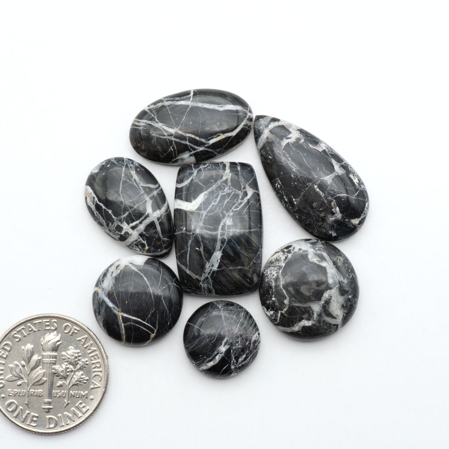 White Buffalo stone cabochons, white stone with black matrix, polished stones on a white background, with a US dime for scale