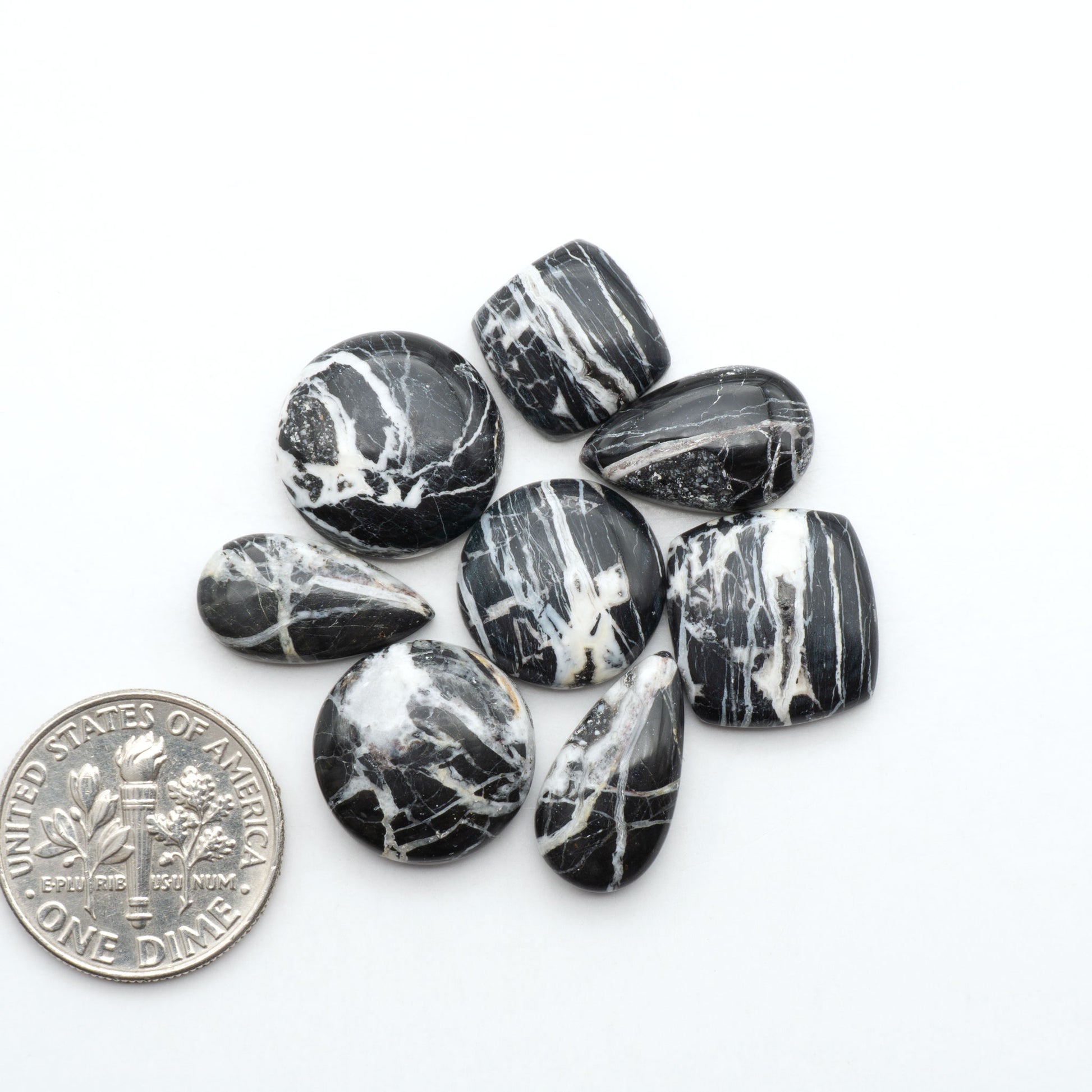 White Buffalo stone cabochons, white stone with black matrix, polished stones on a white background, with a US dime for scale