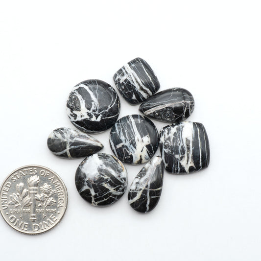 White Buffalo stone cabochons, white stone with black matrix, polished stones on a white background, with a US dime for scale