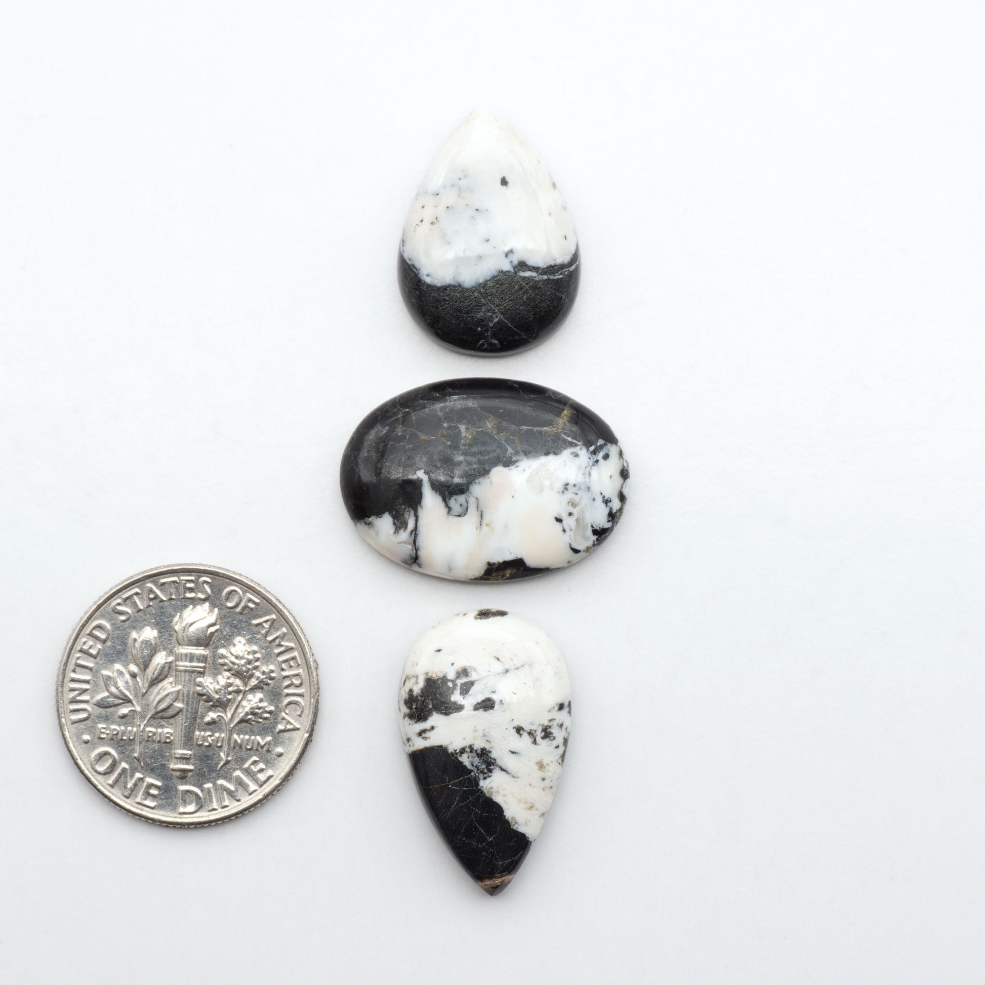 White Buffalo stone cabochons, white stone with black matrix, polished stones on a white background, with a US dime for scale