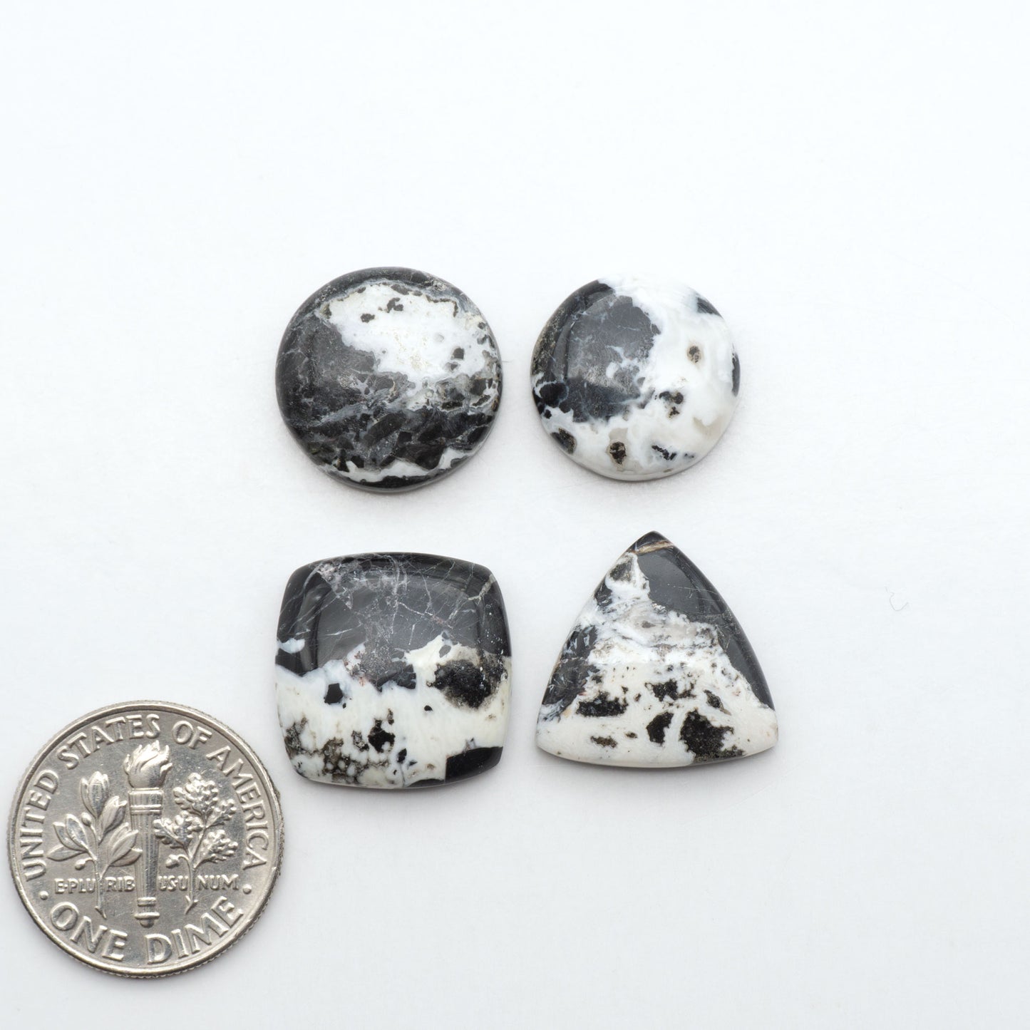 White Buffalo stone cabochons, white stone with black matrix, polished stones on a white background, with a US dime for scale