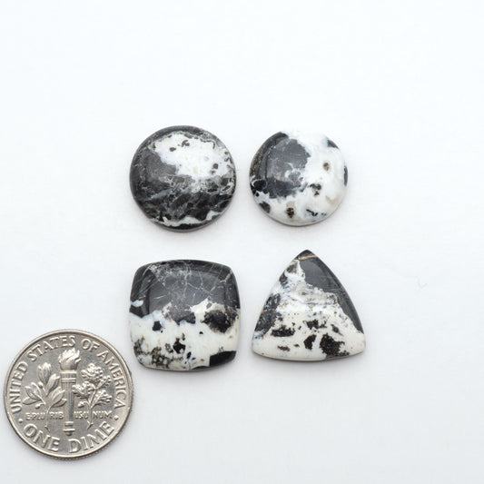 White Buffalo stone cabochons, white stone with black matrix, polished stones on a white background, with a US dime for scale