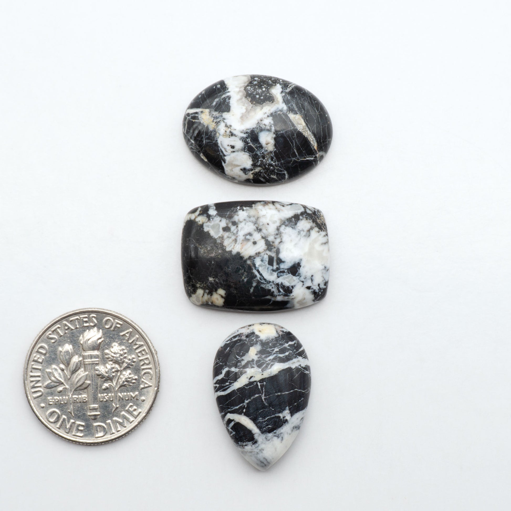 White Buffalo stone cabochons, white stone with black matrix, polished stones on a white background, with a US dime for scale