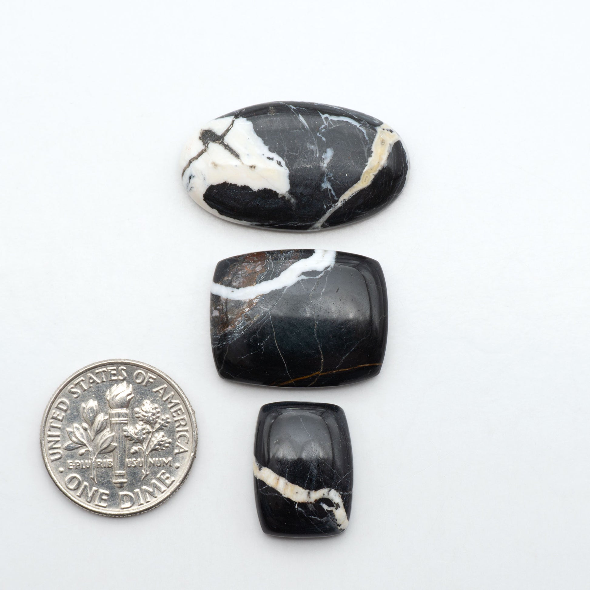 White Buffalo stone cabochons, white stone with black matrix, polished stones on a white background, with a US dime for scale