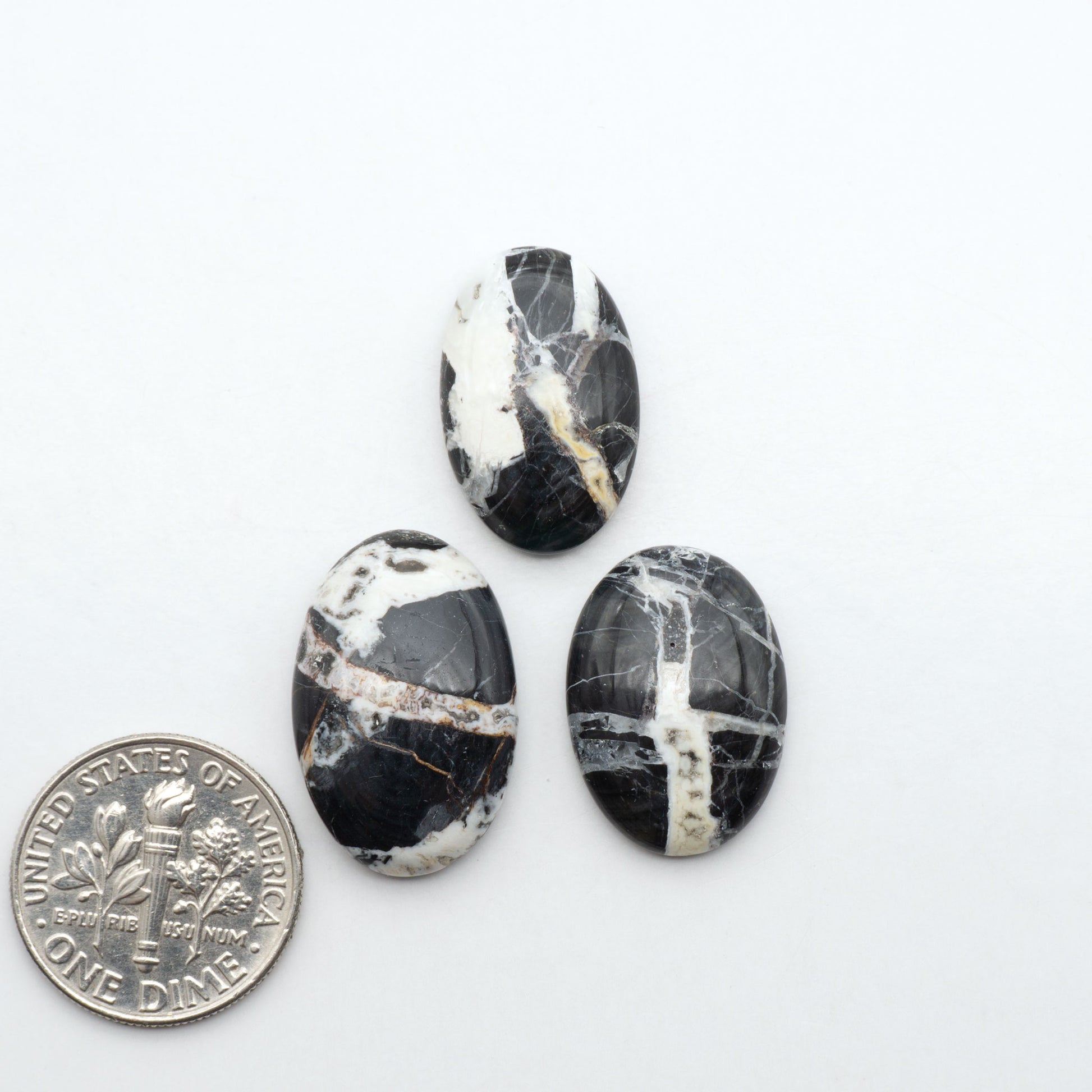 White Buffalo stone cabochons, white stone with black matrix, polished stones on a white background, with a US dime for scale