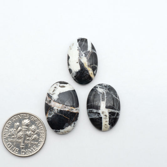 White Buffalo stone cabochons, white stone with black matrix, polished stones on a white background, with a US dime for scale
